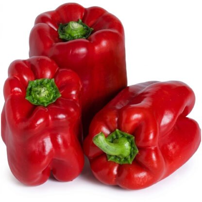 MORRON ROJO