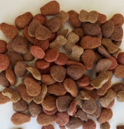 ALIMENTO CACHORRO