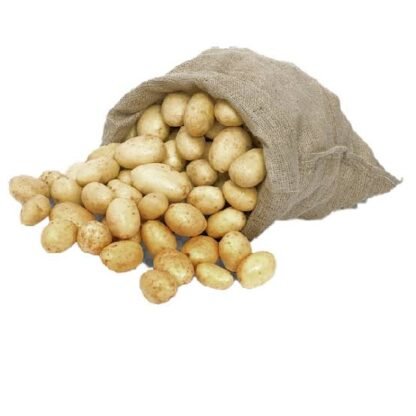 BOLSA PAPA