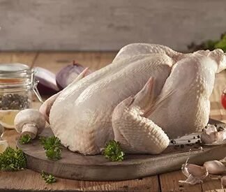 GALLINA XKG